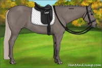Horse Color:Silver Black 