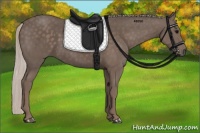 Horse Color:Silver Black 