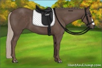 Horse Color:Silver Black 