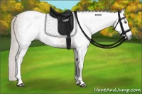 Horse Color:Gray Silver Black Pearl Tobiano