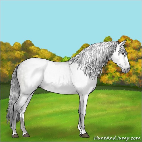 Horse Color:Gray Grullo Tobiano 