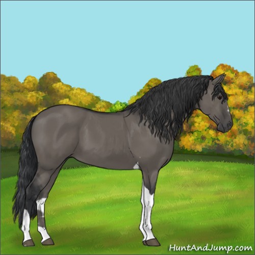 Horse Color:Grullo Sabino Tobiano 