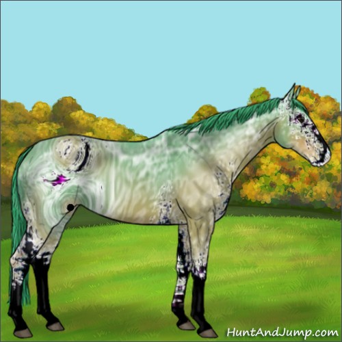 Horse Color:ERROR: UNKNOWN ANOMALY