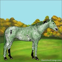 Horse Color:Watercolor White Spotted Brown Ice Sabino 