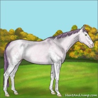 Horse Color:Watercolor White Spotted Gold Champagne Ice Dun 