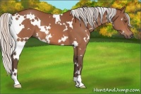 Horse Color:White Spotted Silver Brown 