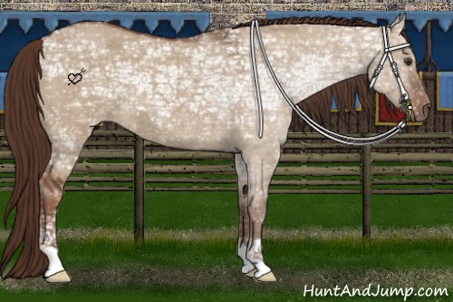 Horse Color:Liver Red Dun Ice