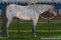 Horse Color:Brown Roan 