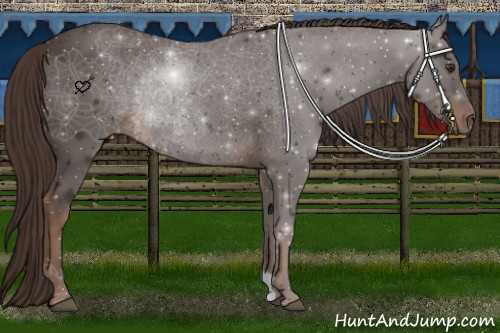 Horse Color:Liver Chestnut Rabicano