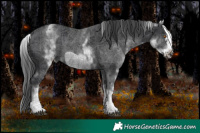 Horse Color:White Spotted Black Frame 