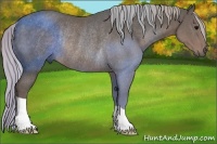 Horse Color:Silver Black Rabicano 