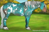 Horse Color:White Spotted Silver Brown