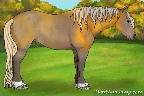 Horse Color:Silver Black