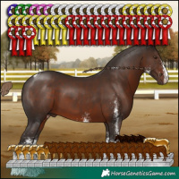 Horse Color:White Spotted Liver Chestnut Tobiano Rabicano 