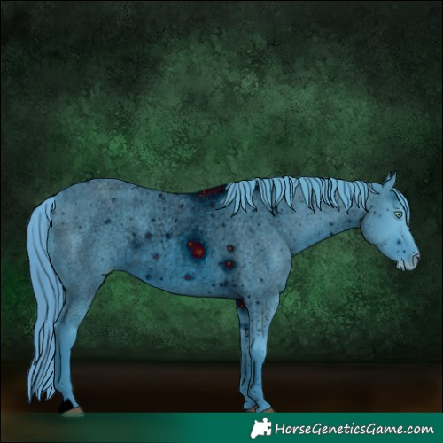 Horse Color:ERROR: UNKNOWN ANOMALY