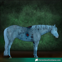 Horse Color:ERROR: UNKNOWN ANOMALY