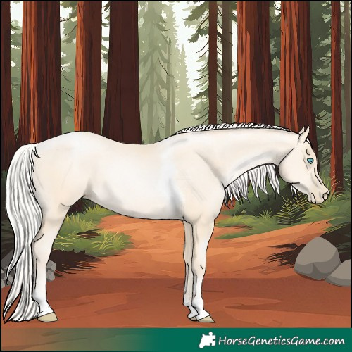 Horse Color:Silver Sable Cream Champagne Pearl Tobiano 
