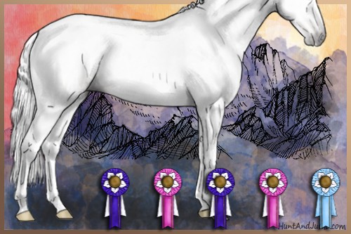 Horse Color:Gray White Spotted Silver Sable Champagne Rabicano 