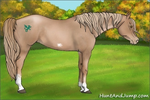 Horse Color:Liver Red Roan Pearl Tobiano Frame 