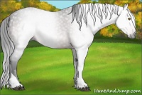 Horse Color:Gray Brown Tobiano Rabicano 