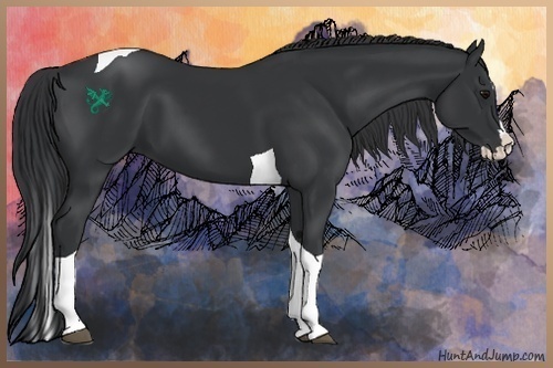 Horse Color:Black Splash Tobiano 