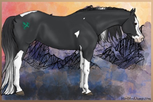 Horse Color:Black Splash Tobiano 
