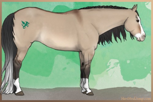 Horse Color:Brown Dun Splash
