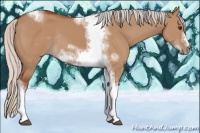 Horse Color:Silver Bay Dun Sabino Tobiano Frame Rabicano 