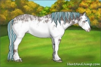 Horse Color:Painted Silver Black Ice Sabino Splash