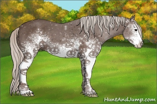 Horse Color:White Spotted Silver Black 
