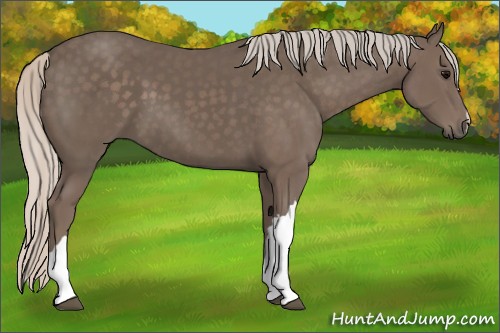 Horse Color:Silver Black 
