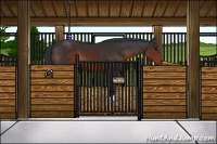 Horse Color:Brown 