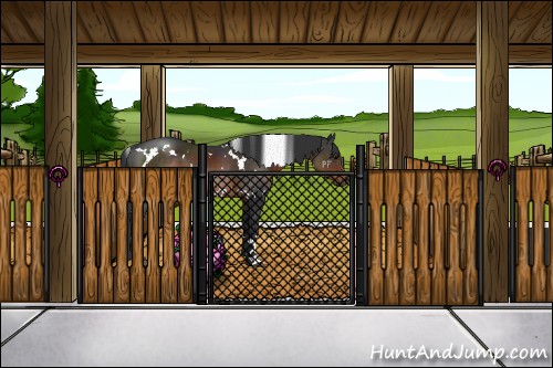 Horse Color:White Spotted Brown 