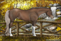 Horse Color:Gray Silver Black Pearl Tobiano