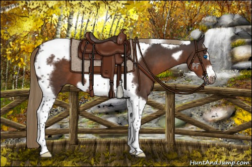 Horse Color:Liver Chestnut Tobiano Frame