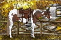 Horse Color:Liver Chestnut Tobiano Frame