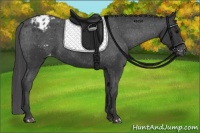 Horse Color:Black Varnish Rabicano 