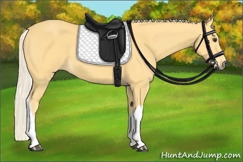 Horse Color:Palomino