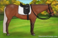 Horse Color:Silver Bay 