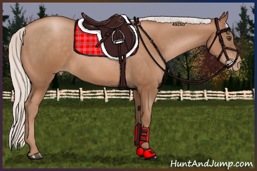 Horse Color:Silver Brown Pearl 