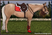 Horse Color:Silver Brown Pearl 