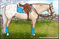 Horse Color:Silver Bay Pearl Dun Splash Appaloosa 