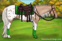 Horse Color:Silver Blue Roan Pearl Tobiano Appaloosa 