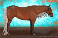 Horse Color:Silver Bay 