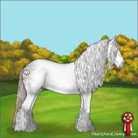 Horse Color:Gray White Spotted Liver Chestnut Rabicano 