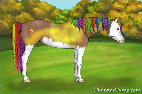 Horse Color:Painted Chestnut Splash 