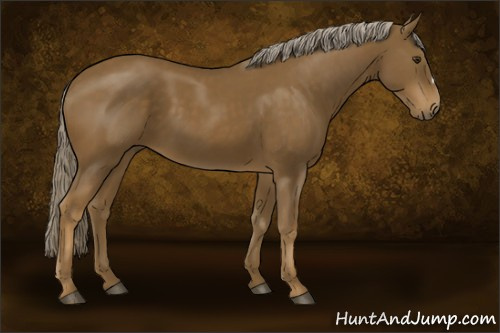 Horse Color:Chocolate Palomino
