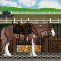 Horse Color:Liver Chestnut Sabino Rabicano 