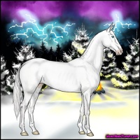 Horse Color:Cremello Dun 