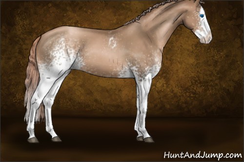 Horse Color:White Spotted Liver Chestnut Pearl Splash 